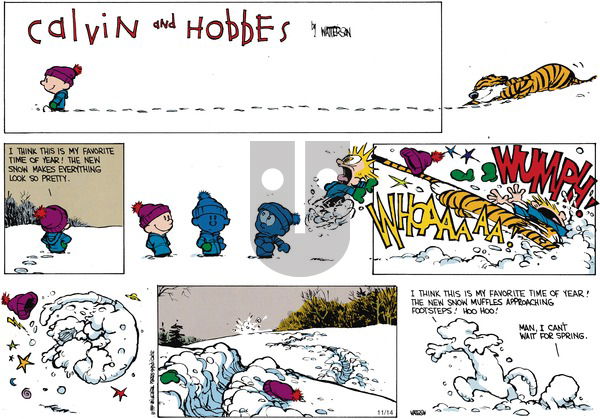 Calvin and Hobbes on Sunday January 28, 1990 Comic Strip