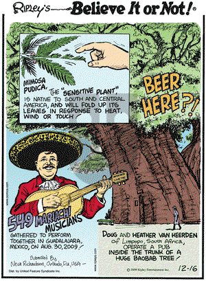 Ripley's Believe It or Not - Wednesday December 16, 2009 Comic Strip