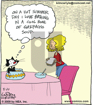 Kit 'N' Carlyle on Thursday August 27, 2009 Comic Strip