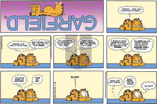 Garfield on Sunday November 9, 2008 Comic Strip
