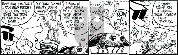 Monty on Friday August 17, 2001 Comic Strip