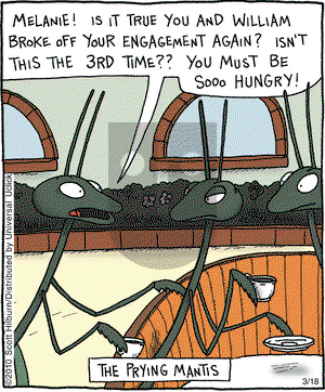 The Argyle Sweater on Thursday March 18, 2010 Comic Strip