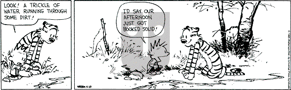 Calvin and Hobbes - Saturday April 29, 1995 Comic Strip