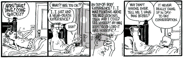 Monty on Friday November 4, 2005 Comic Strip