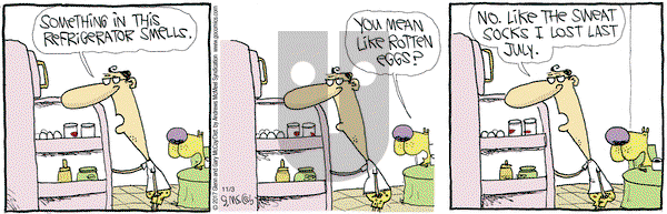 The Duplex on Friday November 3, 2017 Comic Strip