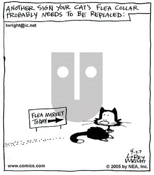 Kit 'N' Carlyle on Wednesday April 27, 2005 Comic Strip