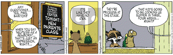 Over the Hedge on Tuesday January 17, 2006 Comic Strip