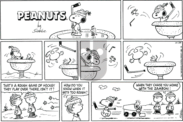 Peanuts - Sunday November 24, 1991 Comic Strip