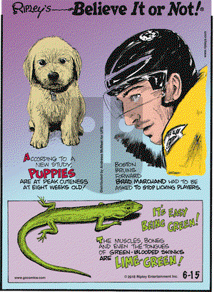 Ripley's Believe It or Not on Friday June 15, 2018 Comic Strip