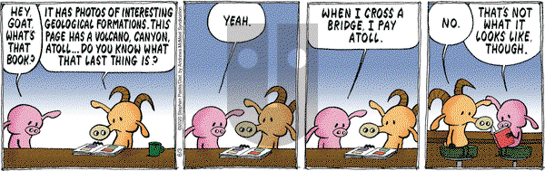 Pearls Before Swine on Wednesday June 3, 2020 Comic Strip