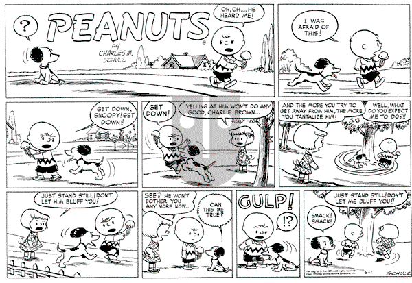 Peanuts - Sunday June 1, 1952 Comic Strip