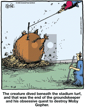In the Bleachers - Thursday September 18, 2008 Comic Strip