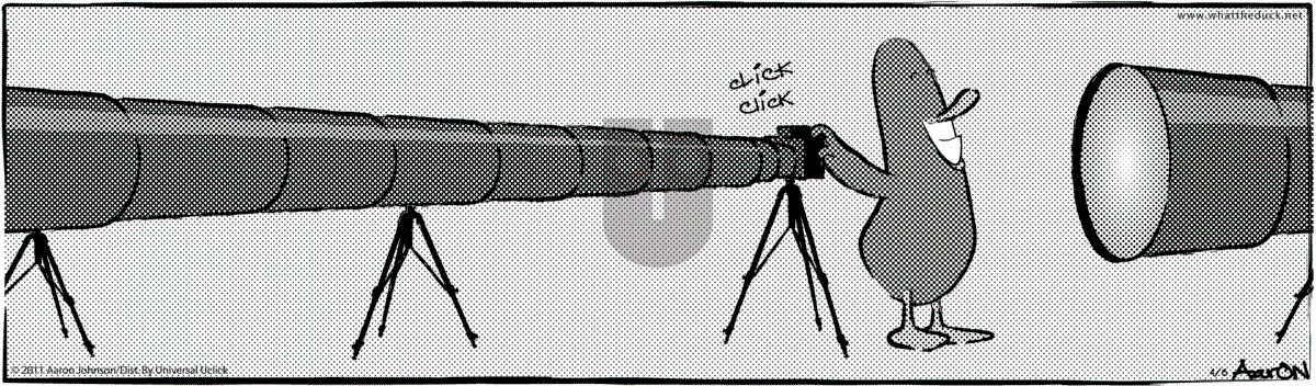 W.T. Duck - Sunday October 1, 2023 Comic Strip