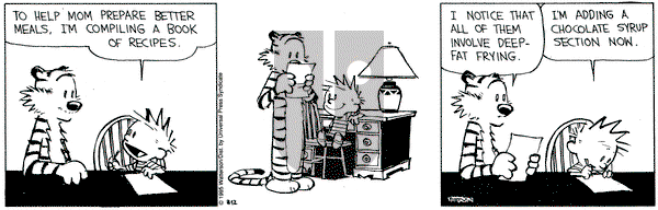 Calvin and Hobbes on Saturday August 12, 1995 Comic Strip