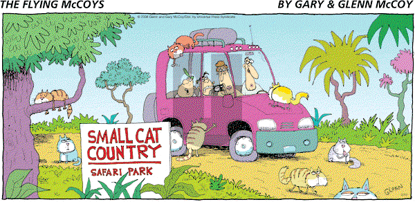 The Flying McCoys on Sunday February 17, 2008 Comic Strip