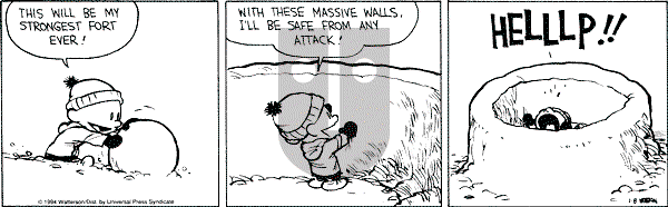 Calvin and Hobbes - Saturday January 8, 1994 Comic Strip
