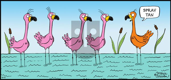 Half Full on Sunday June 15, 2014 Comic Strip