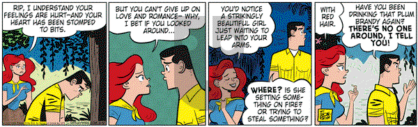 Rip Haywire on Wednesday June 12, 2013 Comic Strip