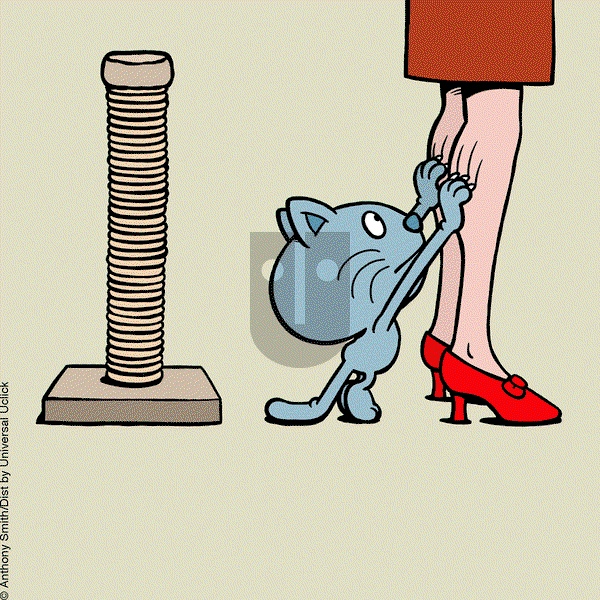 Cattitude — Doggonit - Friday December 8, 2023 Comic Strip
