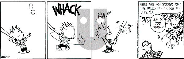 Calvin and Hobbes - Wednesday May 17, 1995 Comic Strip