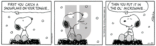 Peanuts on Saturday November 27, 1999 Comic Strip