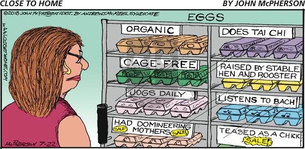 Close to Home on Sunday July 22, 2018 Comic Strip