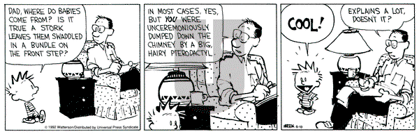 Calvin and Hobbes on Wednesday June 10, 1992 Comic Strip