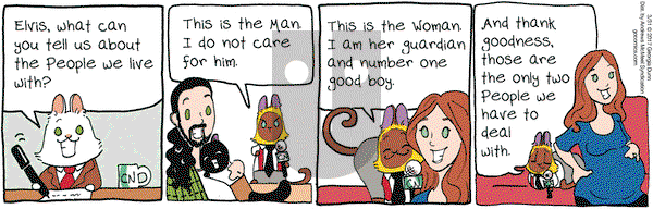 Breaking Cat News on Friday March 31, 2017 Comic Strip