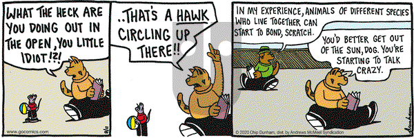 Overboard on Tuesday August 11, 2020 Comic Strip