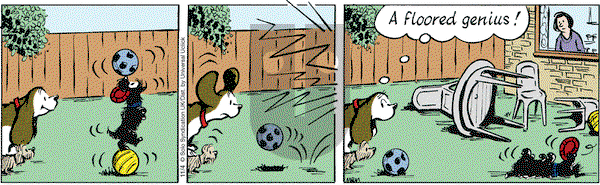 Fred Basset on Friday November 4, 2016 Comic Strip