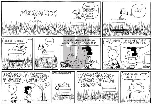 Peanuts on Sunday June 24, 1962 Comic Strip
