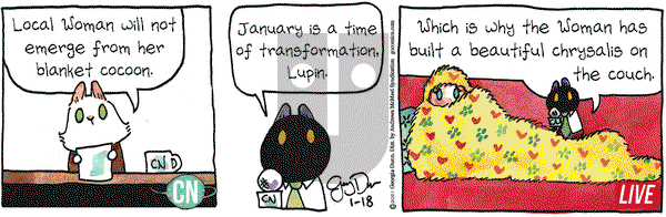 Breaking Cat News on Monday January 18, 2021 Comic Strip