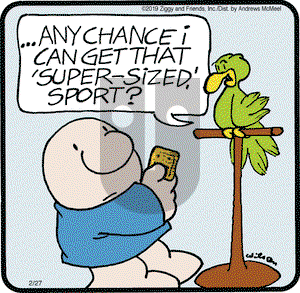 Ziggy on Wednesday February 27, 2019 Comic Strip