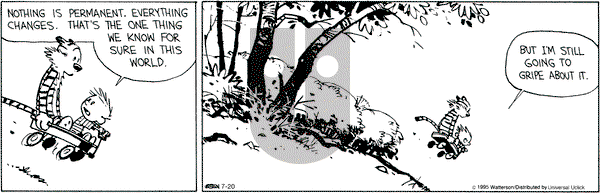 Calvin and Hobbes on Monday July 20, 2015 Comic Strip