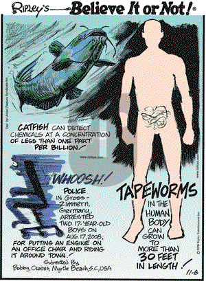 Ripley's Believe It or Not on Thursday November 6, 2008 Comic Strip