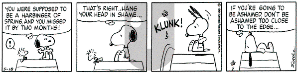 Peanuts on Friday May 18, 1984 Comic Strip