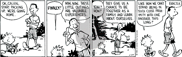 Calvin and Hobbes - Wednesday June 29, 1988 Comic Strip