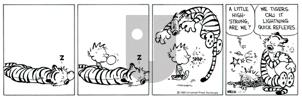 Calvin and Hobbes on Saturday November 11, 1989 Comic Strip