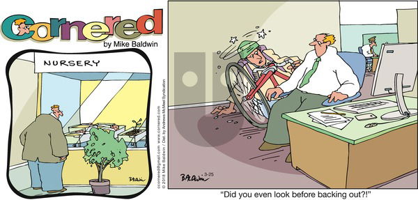 Cornered on Sunday March 25, 2018 Comic Strip