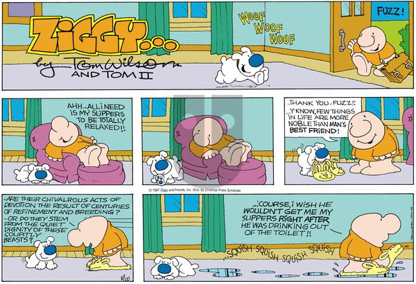 Ziggy on Sunday August 10, 1997 Comic Strip
