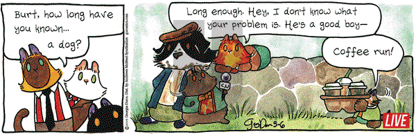 Breaking Cat News on Monday May 6, 2019 Comic Strip