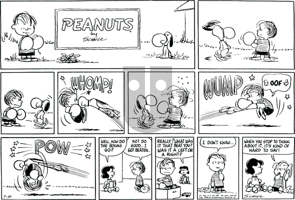 Peanuts - Sunday July 31, 1960 Comic Strip