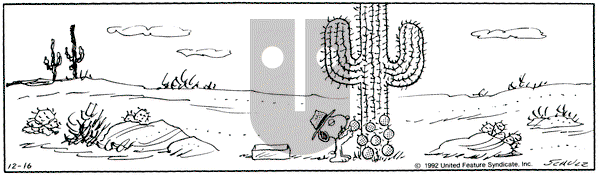 Peanuts on Wednesday December 16, 1992 Comic Strip