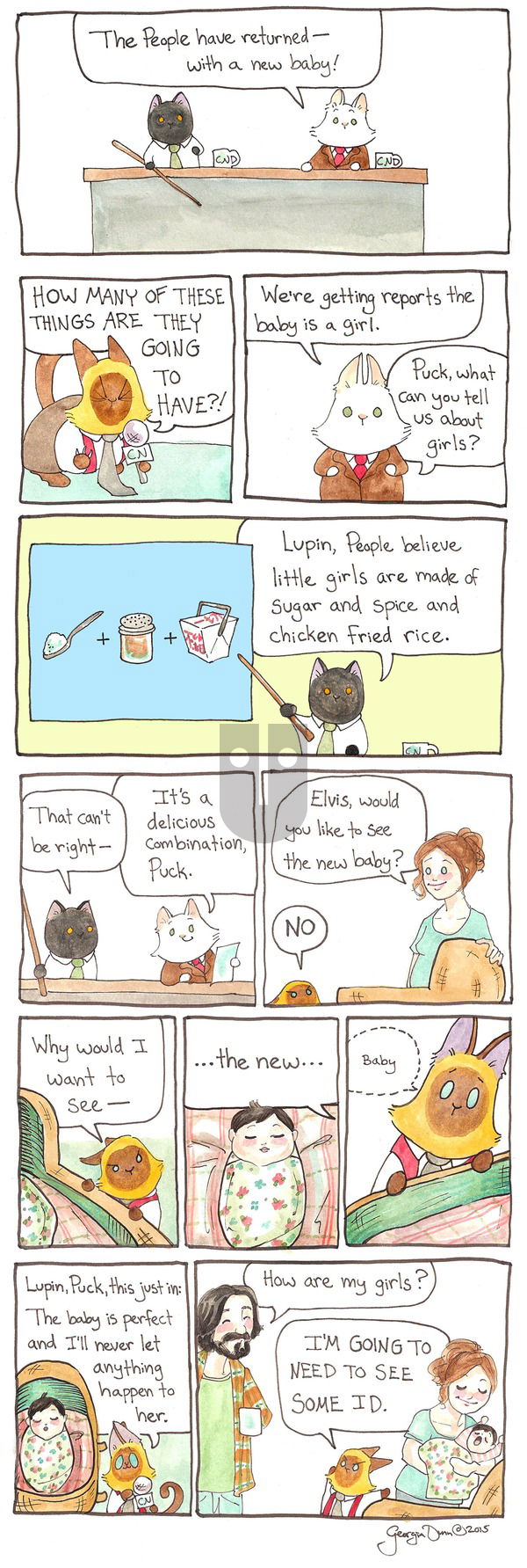 Breaking Cat News on Sunday December 11, 2016 Comic Strip