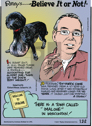 Ripley's Believe It or Not on Saturday December 2, 2017 Comic Strip