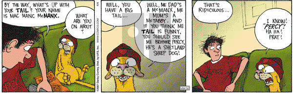 Get Fuzzy on Wednesday April 4, 2007 Comic Strip