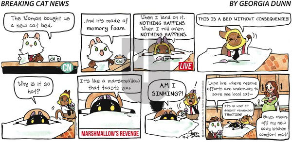 Breaking Cat News on Sunday July 1, 2018 Comic Strip