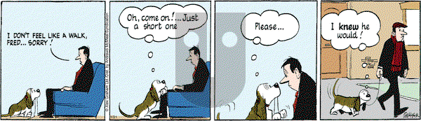 Fred Basset on Tuesday January 21, 2025 Comic Strip