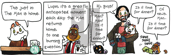 Breaking Cat News on Wednesday January 2, 2019 Comic Strip