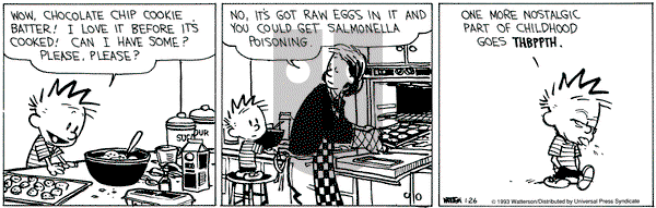 Calvin and Hobbes on Tuesday January 26, 1993 Comic Strip